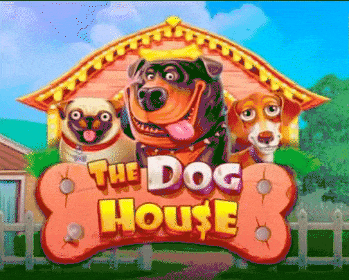 Speel The Dog House bij Chocospin Casino